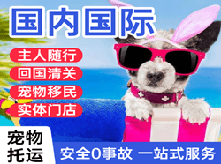 白城航空空运国际宠物托运 【国